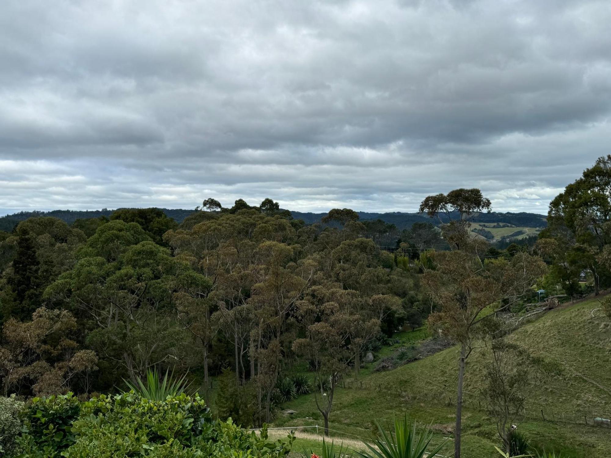 Private Cabin Close To The City Centre Whangarei Esterno foto