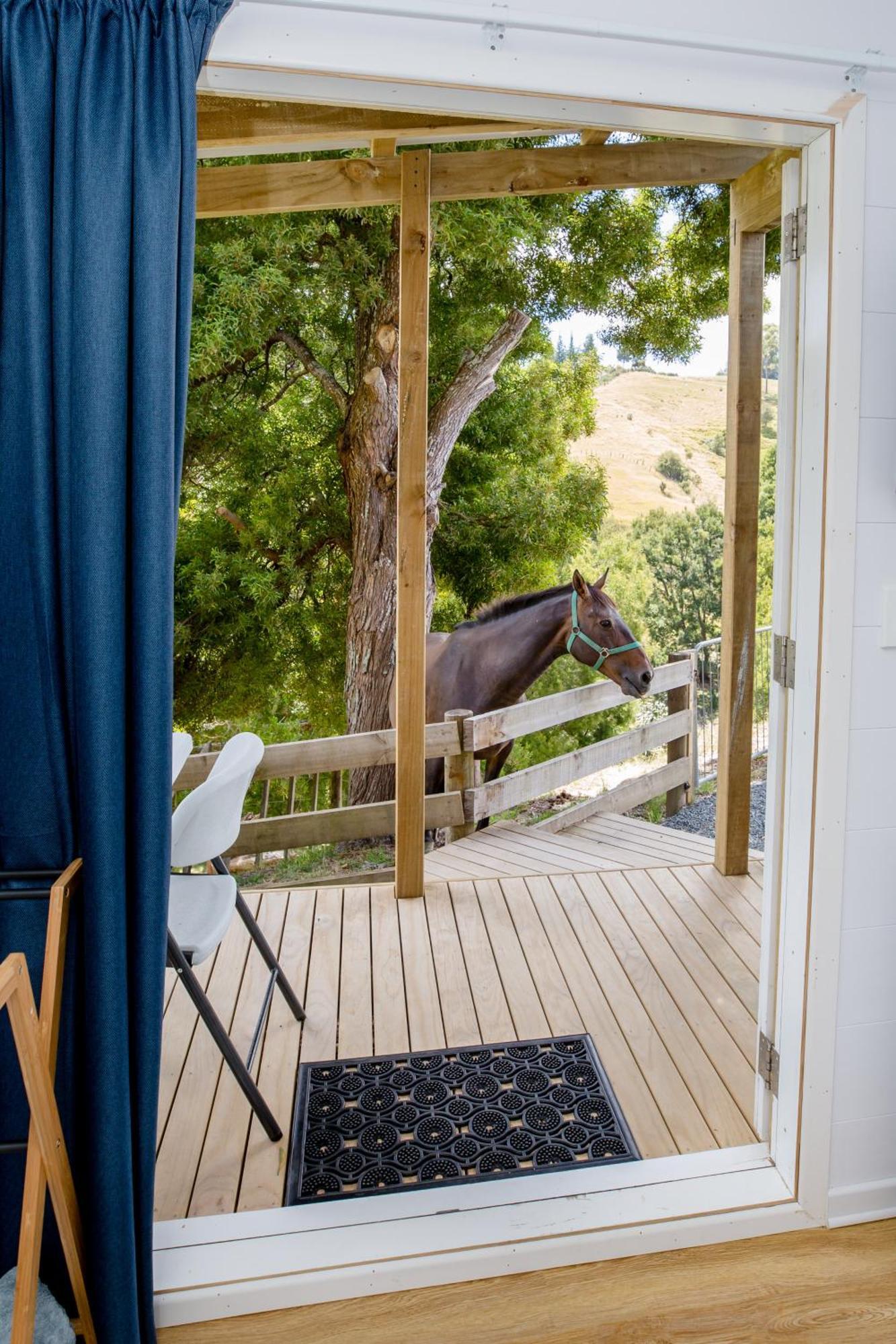 Private Cabin Close To The City Centre Whangarei Esterno foto
